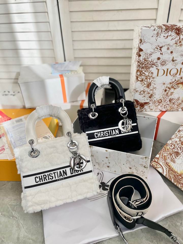 Dior Lady 19x17cm CN