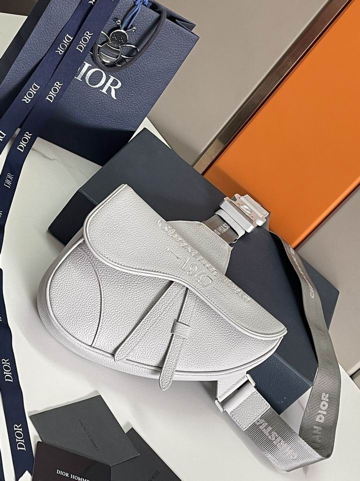 Dior saddle 26x19x4.5cm wz