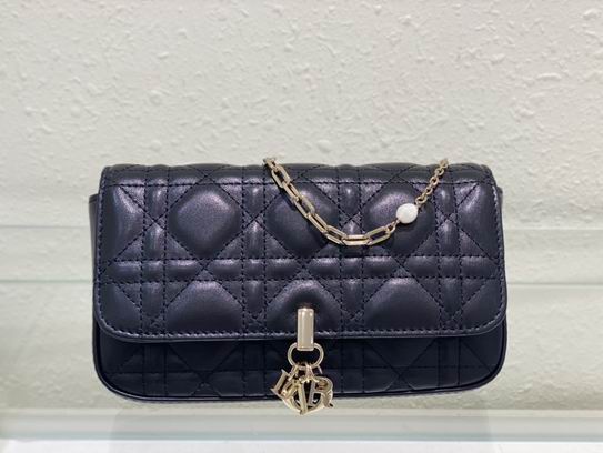 Dior Lady 19cm wz3ɫ