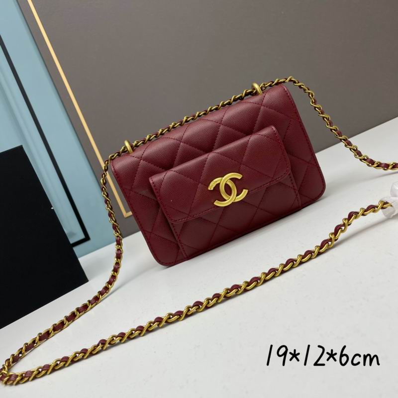 Chanel woc2830 19x12x6cm ww4ɫ