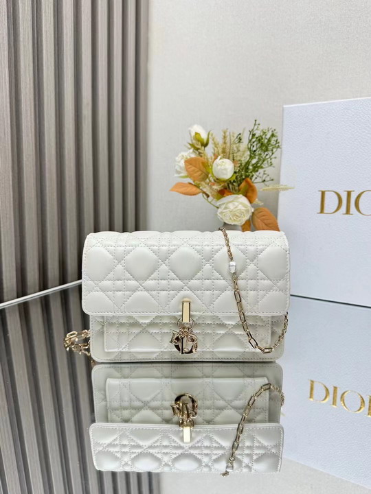 Dior 3105 19.5x12.5x5cm yz1
