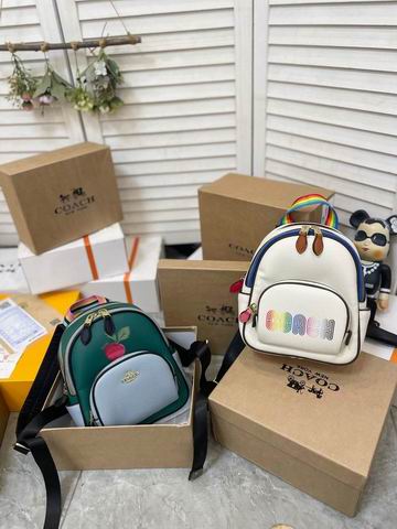 Coach Court 21x25cm CN3