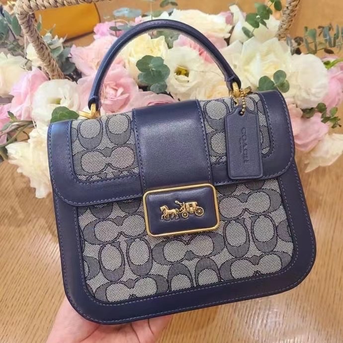 C4820 �Ứ4822 21X17X8cm 6ɫ JH